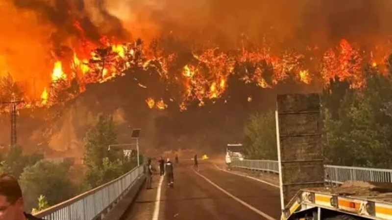 Eskişehir'de yangına müdahale eden 10 orman kahramanı şehit oldu.